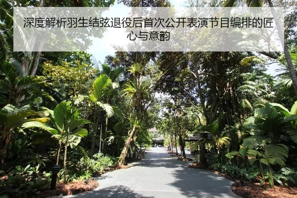 深度解析羽生结弦退役后首次公开表演节目编排的匠心与意韵